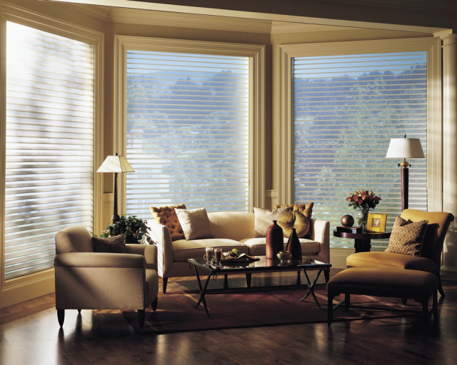 Silhouette Window Shadings