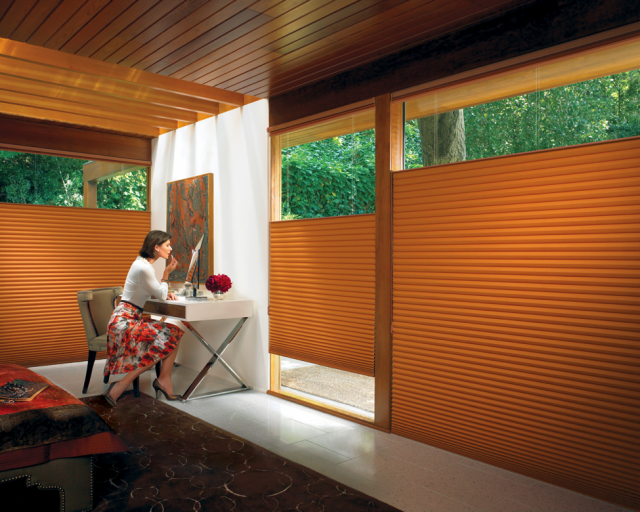 Honeycomb Shades