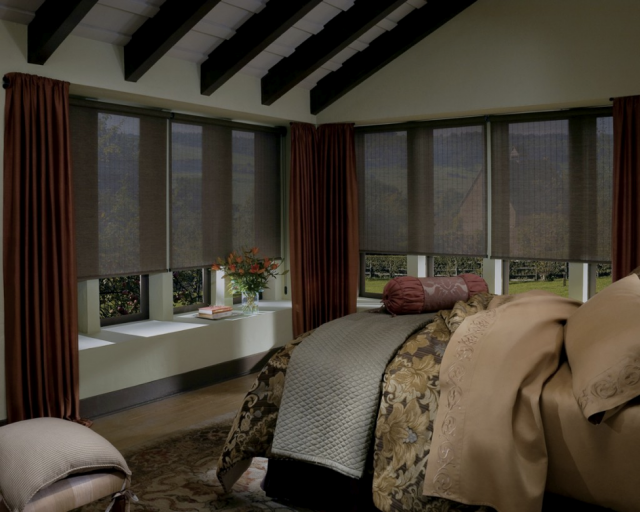 Designer Roller Shades